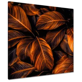 obrazy-90x90-pomaranczowe-liscie