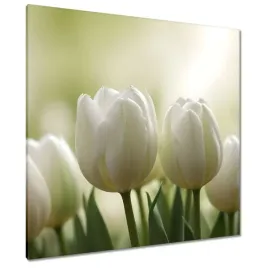 obrazy-90x90-biale-tulipany
