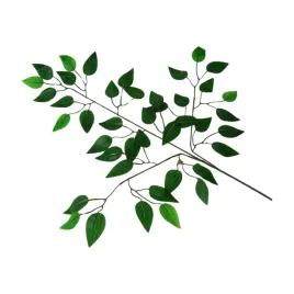 sztuczny-zielony-lisc-benjamina-liscie