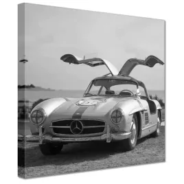 obrazy-20x20-mercedes-gullwing
