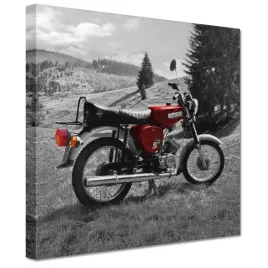 obrazy-20x20-czerwony-simson-s51-e