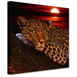 obrazy-20x20-lampart-pantera
