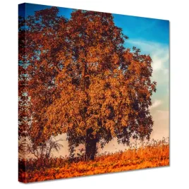 obrazy-20x20-jesienne-barwy-pejzaz