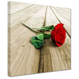 obrazy-20x20-czerwona-roza-na-deskach