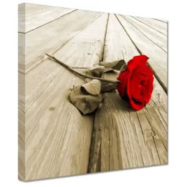 obrazy-20x20-czerwona-roza-na-deskach