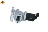 zawor-egr-48331-nrf