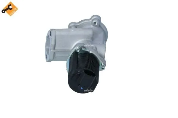 zawor-egr-48331-nrf