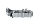 modul-egr-48456-nrf