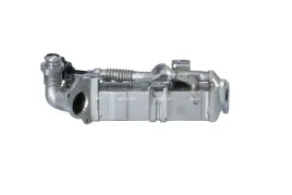 modul-egr-48456-nrf