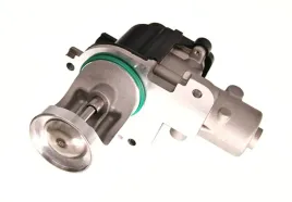 zawor-egr-48606-nrf