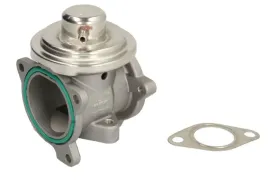 zawor-egr-48611-nrf