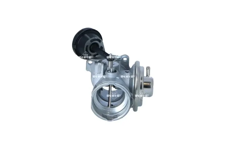 zawor-egr-48618-nrf