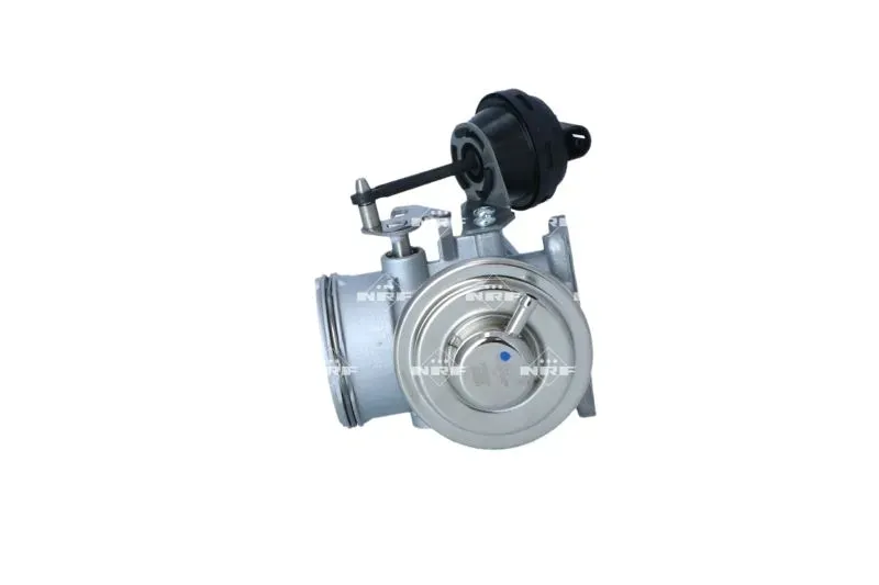 zawor-egr-48618-nrf