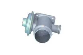 zawor-egr-48624-nrf