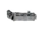 modul-egr-48366-nrf