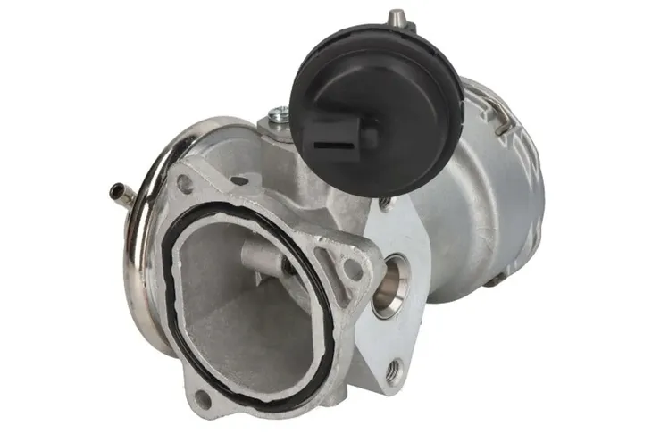 zawor-egr-48633-nrf