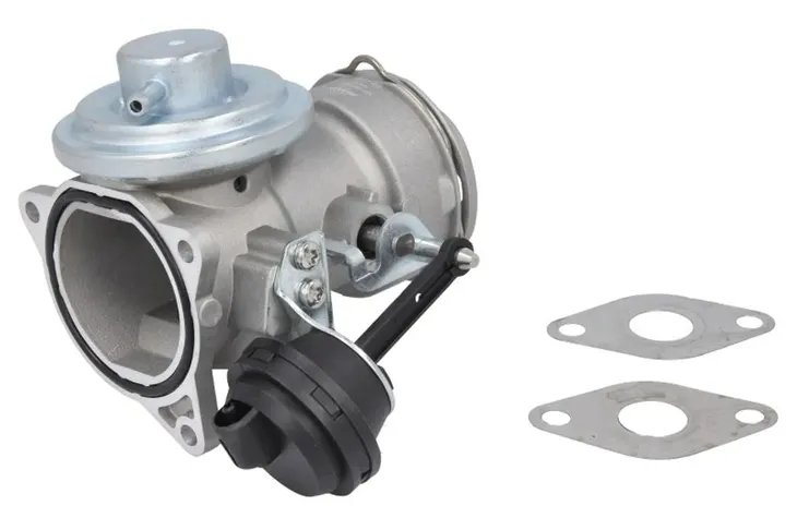 zawor-egr-48634-nrf