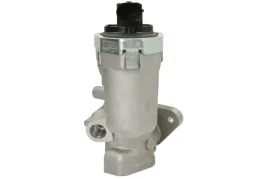 zawor-egr-48376-nrf