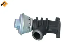 zawor-egr-48387-nrf