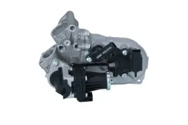 zawor-egr-48450-nrf