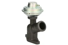zawor-egr-48616-nrf