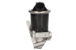 zawor-egr-48629-nrf