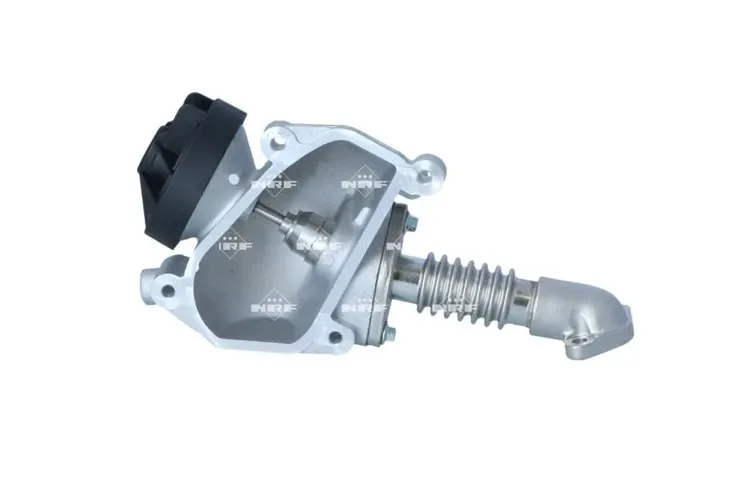 zawor-egr-48635-nrf