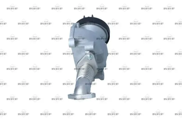 zawor-egr-48635-nrf