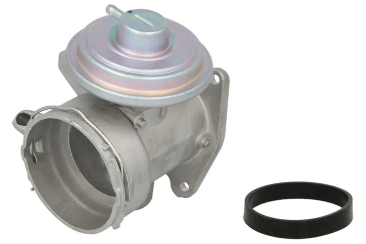 zawor-egr-48636-nrf