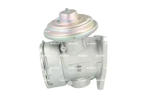 zawor-egr-48636-nrf