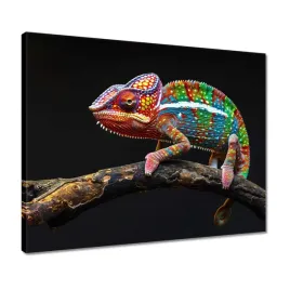 obrazy-50x40-kolorowy-kameleon