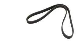 dayco-pasek-wielorowkowy-6dpk1215