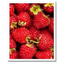 plakaty-w-ramie-40x50-soczyste-i-slodkie-dojrzale-maliny