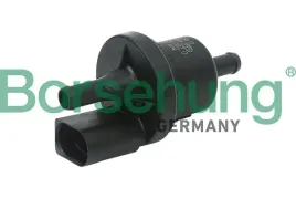 zawor-odpowietrzenia-zbiornika-vw-golf-16-04-b13667-borsehung