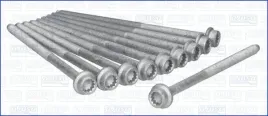 zestaw-srub-glowicy-cylindrow-81028500-ajusa