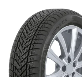 4x-dunlop-winter-225-50r18-99v-xl-mfs-2025-r