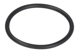 parsun-o-ring-spodziny-f4-04090009