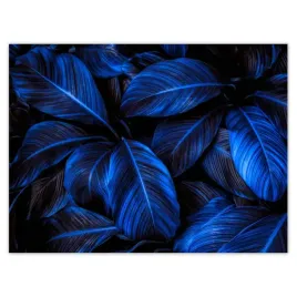 plakaty-40x30-niebieskie-liscie