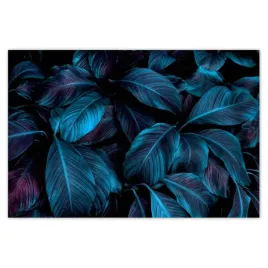plakaty-90x60-piekne-niebieskie-liscie