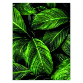 plakaty-30x40-zielone-liscie