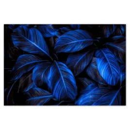 plakaty-60x40-niebieskie-liscie