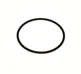 uszczelka-termostatu-11667509080-oe