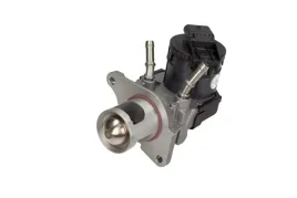 zawor-egr-11717810871-oe
