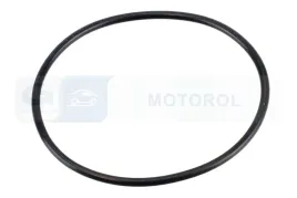oring-59x25-13547792098-oem