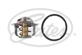 termostat-th52488g1-gts