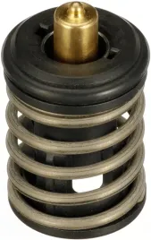 termostat-srodka-chlodzacego-th63497g1-gts
