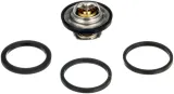 termostat-th28592g1-gts
