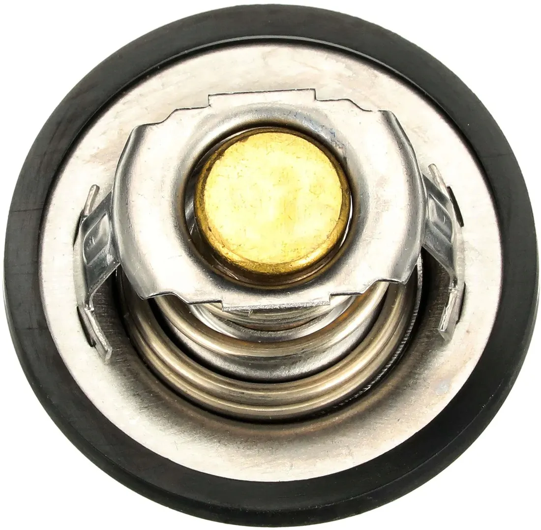 termostat-th28592g1-gts