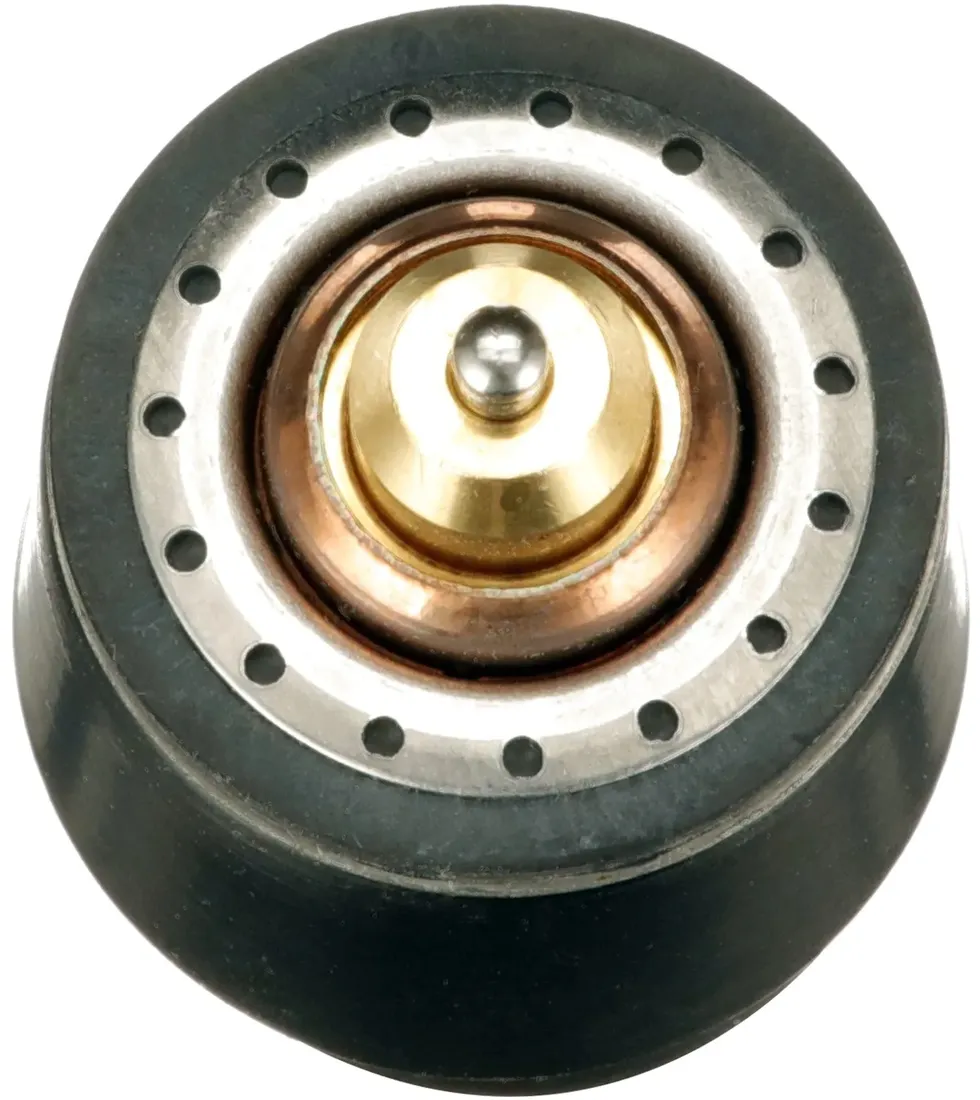 termostat-th598105-gts
