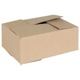 skladane-pudelko-50-sztuk-25x17-5x10-cm-karton